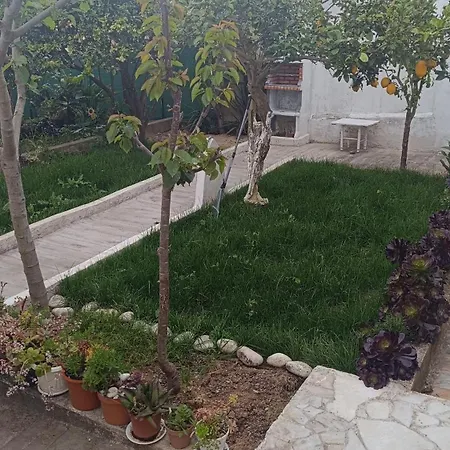 Ginjals 67 * Almargem