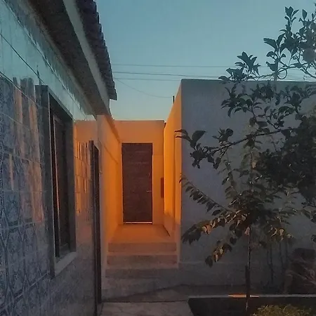 Ginjals 67