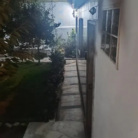 Ginjals 67