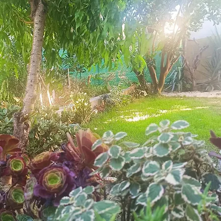 Ginjals 67 Holiday home Almargem do Bispo