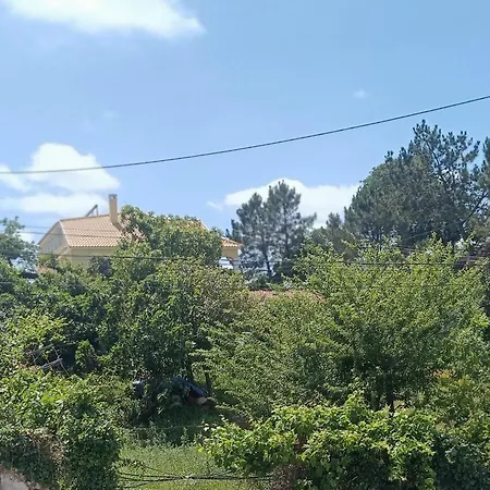 Ginjals 67 * Almargem do Bispo